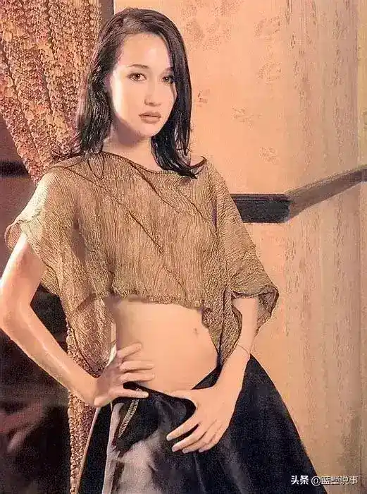 越南女明星演员：盘点越南十大美女明星