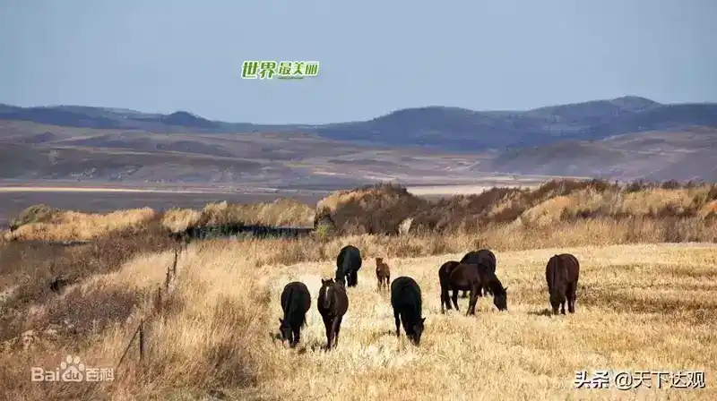 额尔古纳河在哪里？额尔古纳河简介