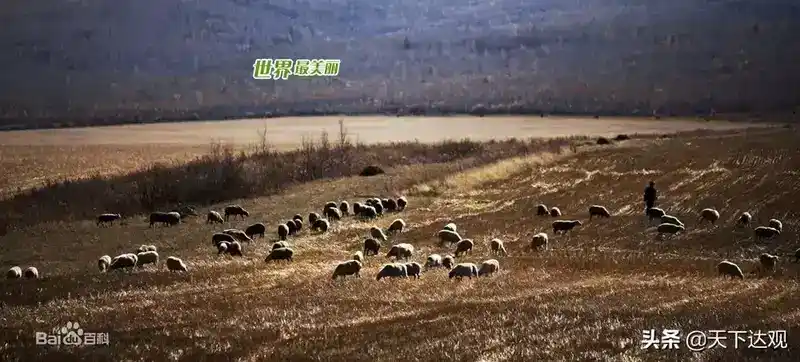 额尔古纳河在哪里？额尔古纳河简介