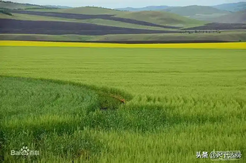 额尔古纳河在哪里？额尔古纳河简介