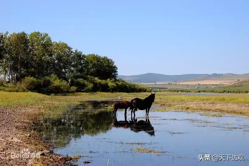 额尔古纳河在哪里？额尔古纳河简介