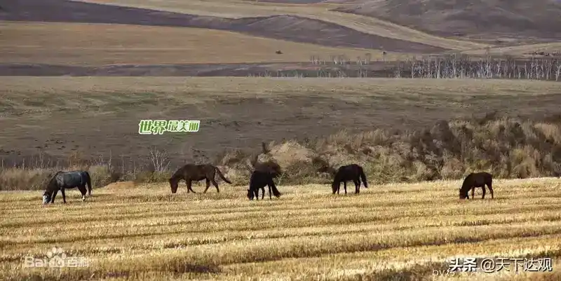 额尔古纳河在哪里？额尔古纳河简介