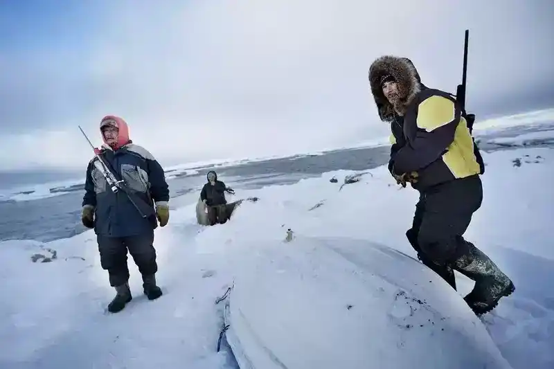 北极的因纽特人：直击生活在北极附近的纽特人，捕猎北极动物为生