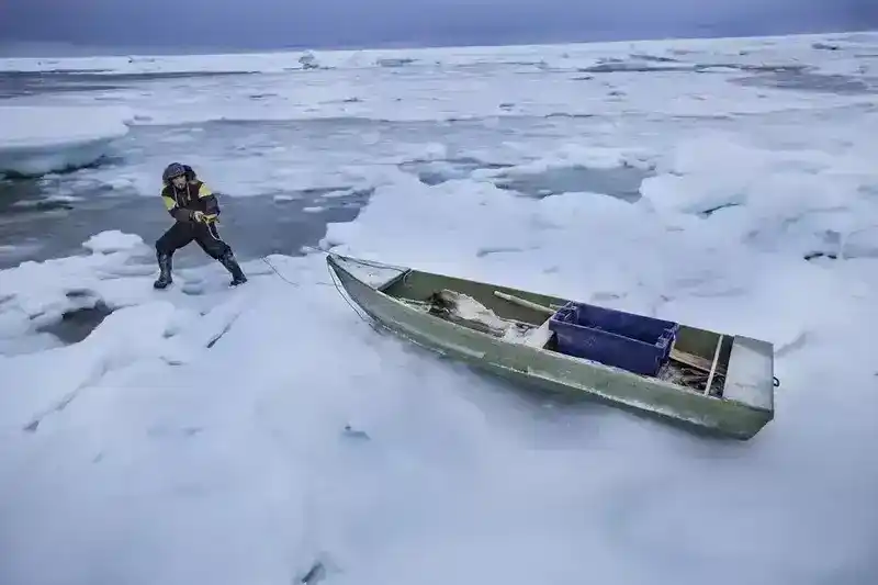 北极的因纽特人：直击生活在北极附近的纽特人，捕猎北极动物为生