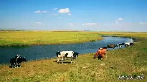 鄂嫩河在哪个城市？鄂嫩河地理位置