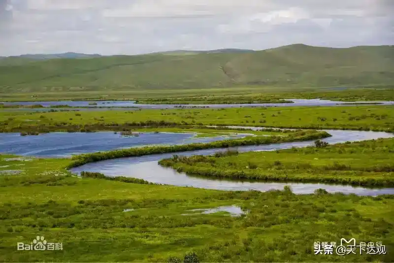 额尔古纳河在哪里？额尔古纳河简介