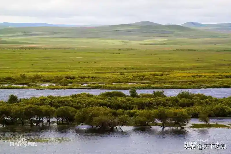 额尔古纳河在哪里？额尔古纳河简介