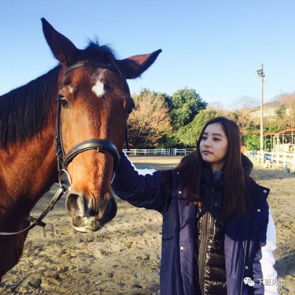 新木优子（Yuko Araki）资料简介（新木优子生活照写真图集）