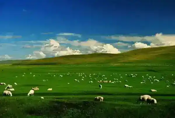内蒙古景色最美的地方有哪些（盘点内蒙古十大必游景点）