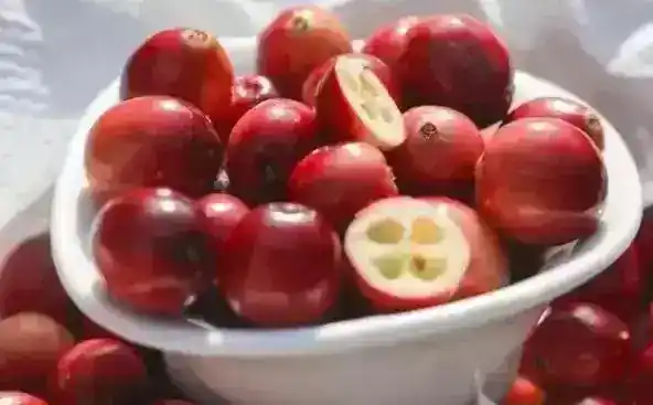 蔓越莓的采摘方式（蔓越莓采摘为什么在水里）