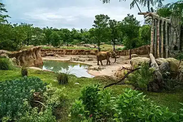 最著名的动物园在哪（盘点全球十大最著名的动物园）