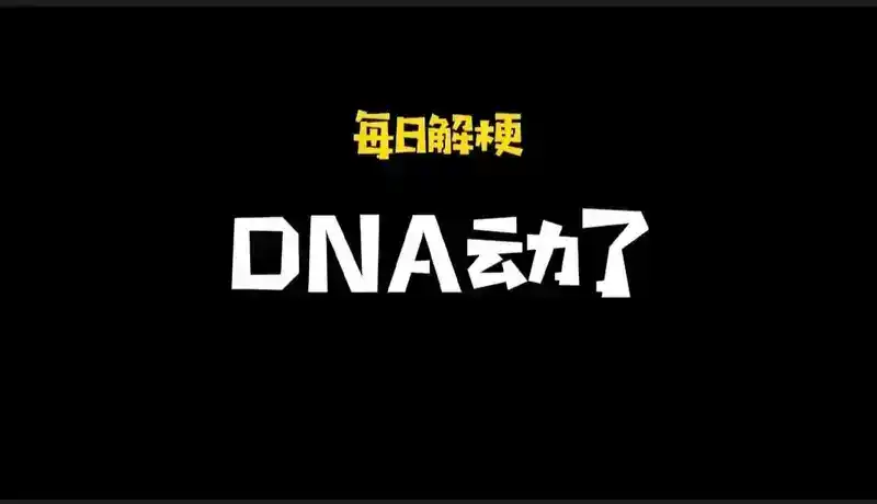网络热梗科普：“DNA动了”什么梗？