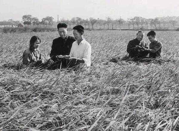 50幅历史影像：讲述中国100年的发展变化