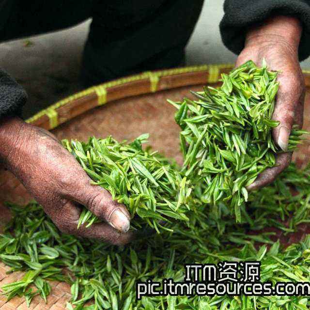 中国产茶叶那么多，为什么没有产生茶叶巨头？
